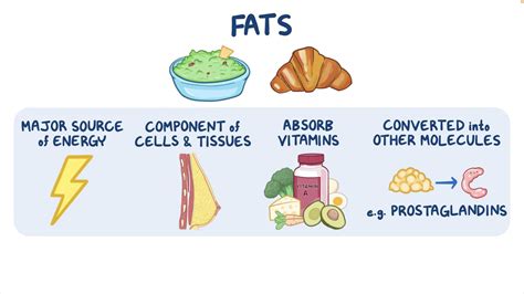 3 Main Tests for Lipid (Fats and Oils) .